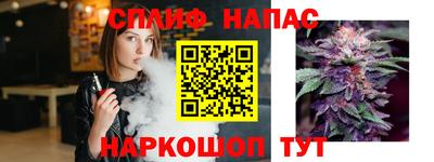 молекула духа Заводоуковск