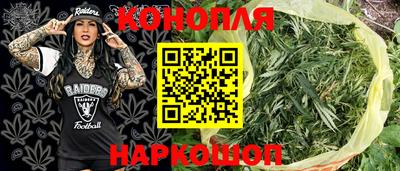 молекула духа Заводоуковск