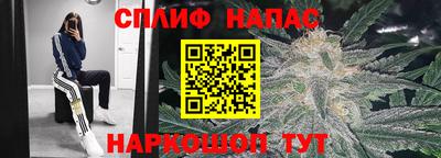 молекула духа Заводоуковск